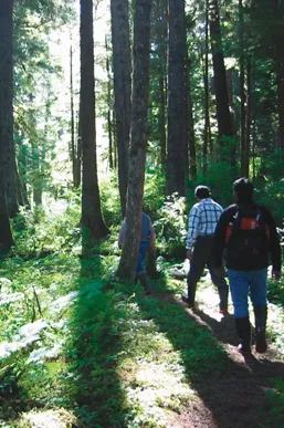 People walking a forest trail.