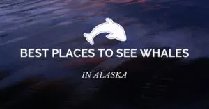 Best places to see whales in Alaska.