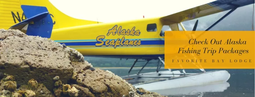 Yellow seaplane. "Check out Alaska fishing trip packages."