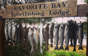 Photo of a Salmon Haul on Admiralty Island