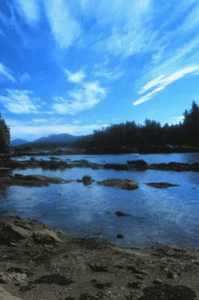 Photo of the Scenery at Favorite Bay near Angoon Alaska