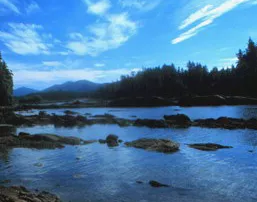 Photo of the Scenery at Favorite Bay near Angoon Alaska