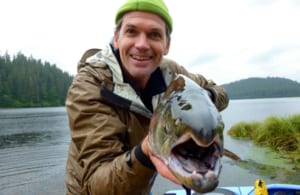 Photo of a man who caught a king salmon near our Alaskan fishing lodge.