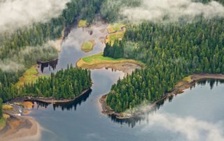 Aerial View of the Tongass National Forest