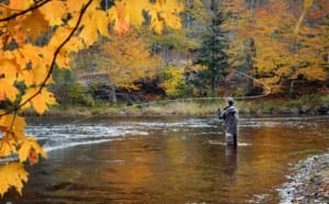 Photo of man fall fishing near Favorite Bay