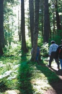 People walking in the forest.
