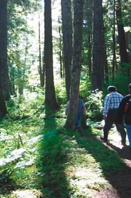 People walking in the forest. People walking in the forest.