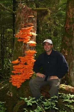 Man sitting next to mushrooms on a tree.