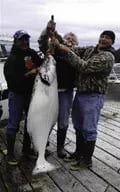 Men holding large fish.