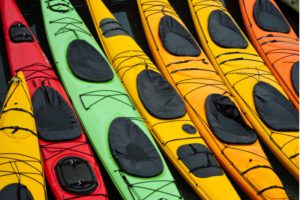 An assortment of colorful single and double-occupancy kayaks on an Alaskan shoreline.