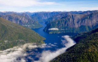 An aerial view of the iconic Tongass National Forest in Southwest Alaska.