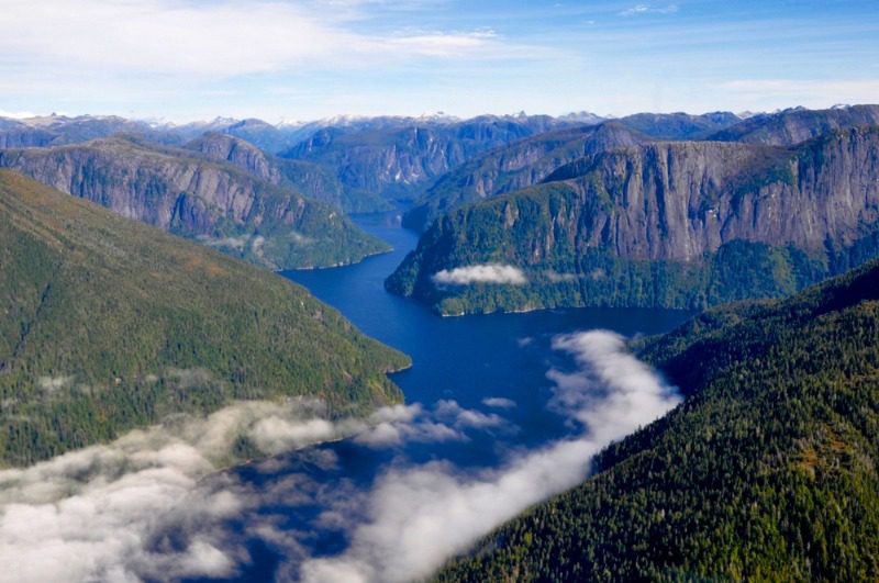 An aerial view of the iconic Tongass National Forest in Southwest Alaska.