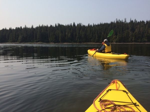 kayaks – DD
